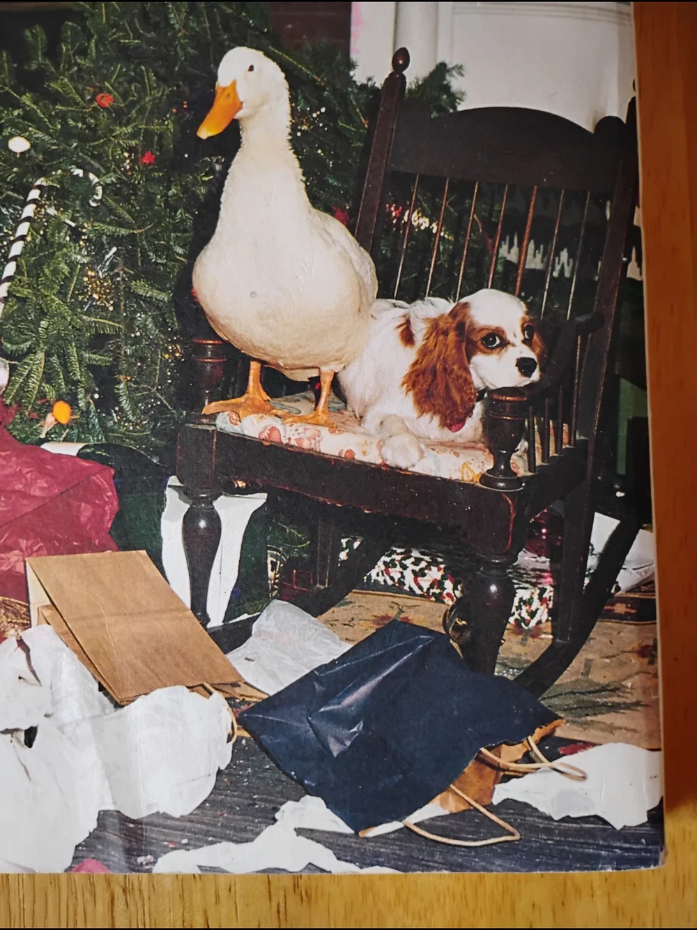 Abercrombie & Fitch Holiday Catalog From Christmas 2000 - Picture 8 of 8